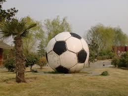 笑不活了，董路吐槽国足选70岁教练，还说要血压稳、自带救心丸…